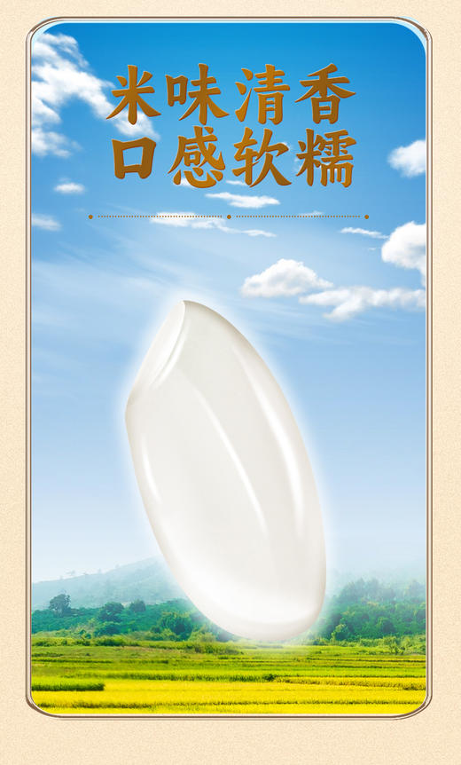 【粒农天禧 正宗五常大米】GB/T19266，符合标准！！优质一等五常大米，口感软糯香甜，颗粒饱满，米味清香！ 商品图4