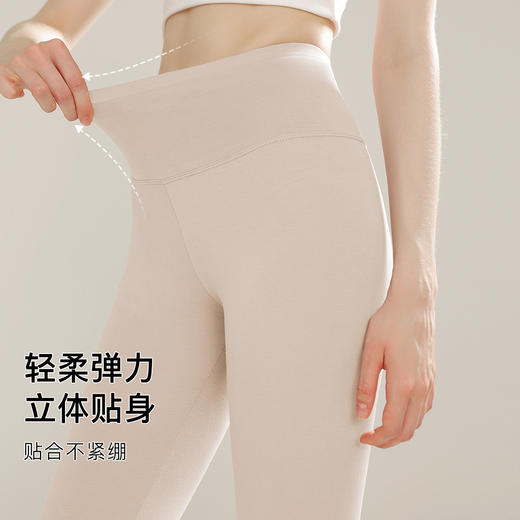 【高腰暖腹】180g女士保暖裤秋裤女95%棉柔亲肤高腰护肚225女士莫兰高腰收腹裤 商品图4