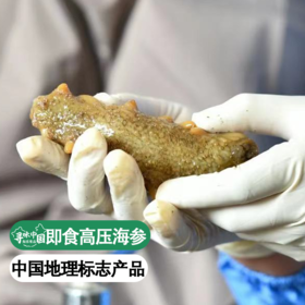 【国家地理标志产品】【只用5年以上海参】 高压即食 免泡发500g/份
