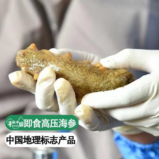 【国家地理标志产品】【只用5年以上海参】 高压即食 免泡发500g/份 商品图0