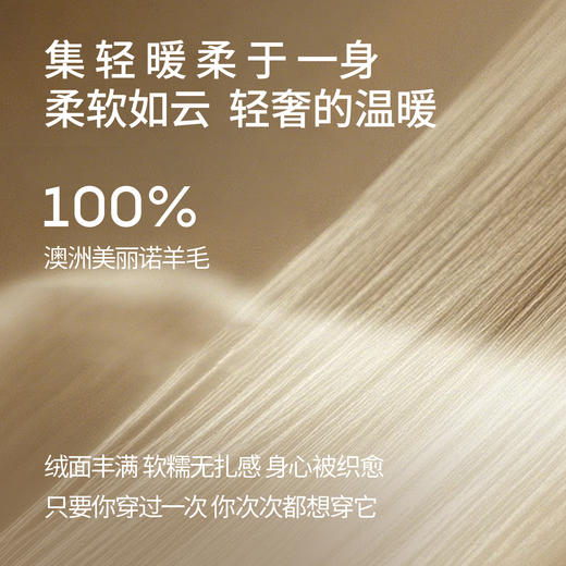 【男装】麦檬春秋套头毛衫9G8930351 商品图2