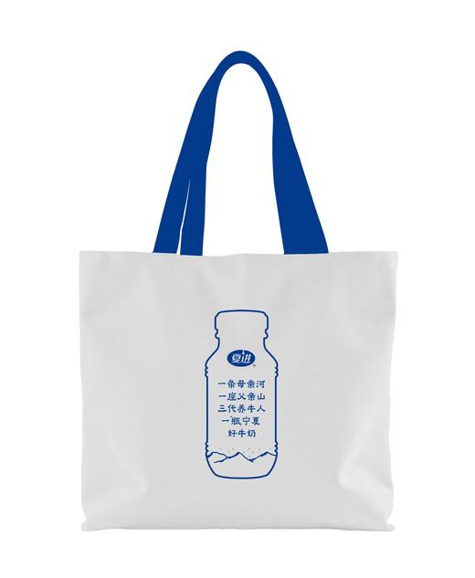 太阳神帆布包 商品图1