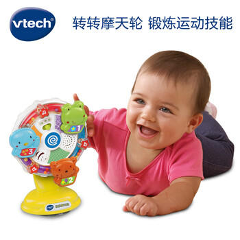 伟易达（Vtech）婴儿玩具欢乐摩天轮中英双语启蒙安抚哄喂6-18月 宝宝周岁礼物 商品图4