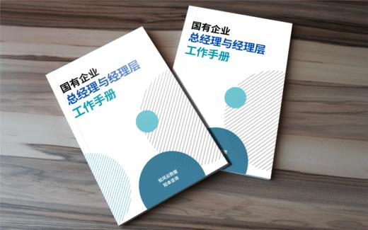 【重磅推出】国有企业总经理与经理层工作手册（2025） 商品图2