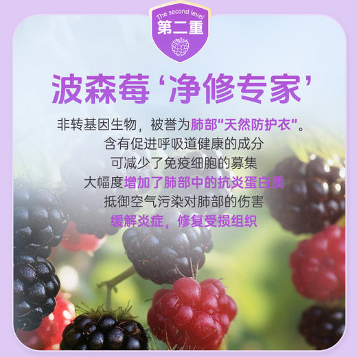 【全球购】澳立佳接骨木莓液饮500ml/瓶 商品图6