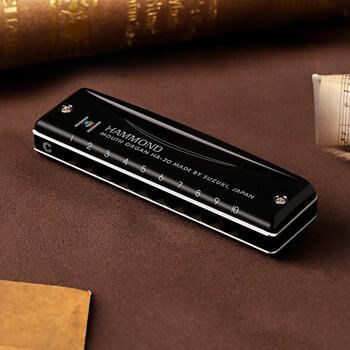 SUZUKI日本铃木进口HA20布鲁斯十孔PADDY调音10孔口琴高级成人专业演奏 商品图2