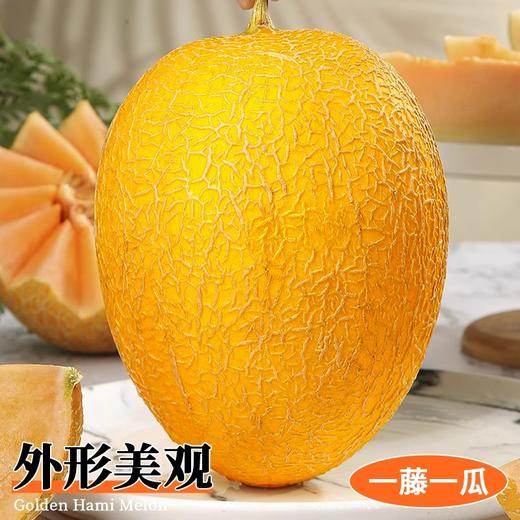 海南黄金蜜瓜 香甜多汁 比西州蜜更脆甜 商品图6