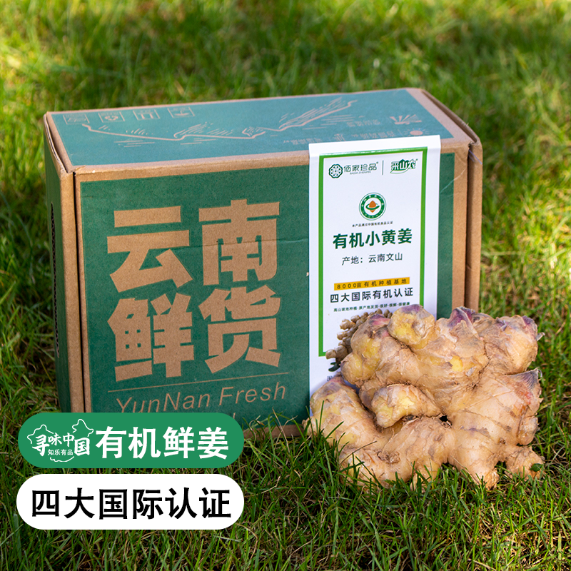 【319项农残0检出】【有机认证小黄姜】【水洗小黄姜】云南有机小黄姜