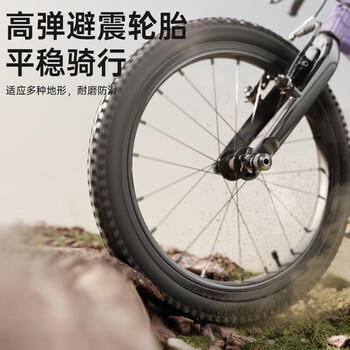 KinderKraftKK儿童自行车4-6-12岁学生单骑行车青少年男女孩礼物山地车20寸紫 商品图1