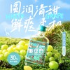 果立方-微醺调酒15度168ml 白葡萄果味酒 商品缩略图0