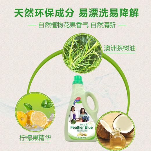 （6桶）澳洲品牌 国产版羽花甘蓝洗衣皂液洗衣液3kg*6桶送蔬果园4D玫瑰洗衣凝珠一袋 商品图6