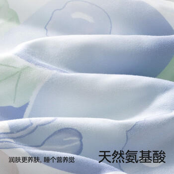 贝肽斯儿童夏凉被婴儿混合蚕丝凉感被宝宝空调被幼儿园盖毯蓝莓2.3X2.0m 商品图5