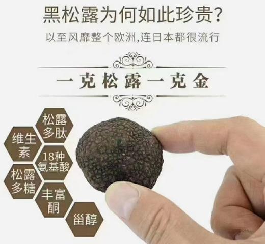 大凉山高海拔野生黑松露！每一颗都是自然馈赠的 “地下黑金” 商品图3