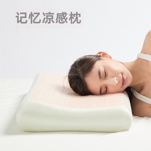 【记忆凉感枕头】四季两用  软硬适中  慢回弹舒适枕 商品图0