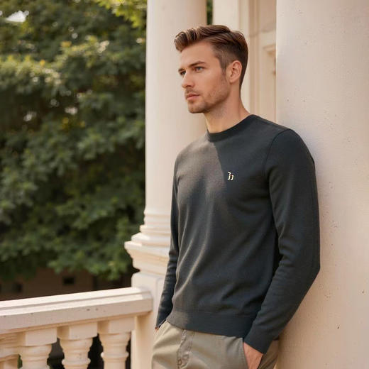 秋冬男士圆领毛衣休闲保暖纯色男士通勤单穿内搭上衣   XLM-CL9629120* 商品图1