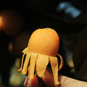 云南蒙自长虹枇杷 果肉细腻 味甜多汁