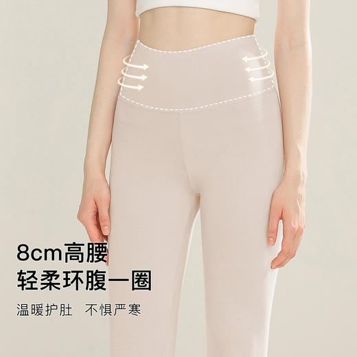 【高腰暖腹】180g女士保暖裤秋裤女95%棉柔亲肤高腰护肚225女士莫兰高腰收腹裤 商品图3