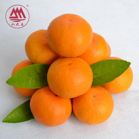 【顺丰快递】正宗涌泉蜜桔 临海橘子 新鲜薄皮 无核蜜橘 现摘现发 - CSDW