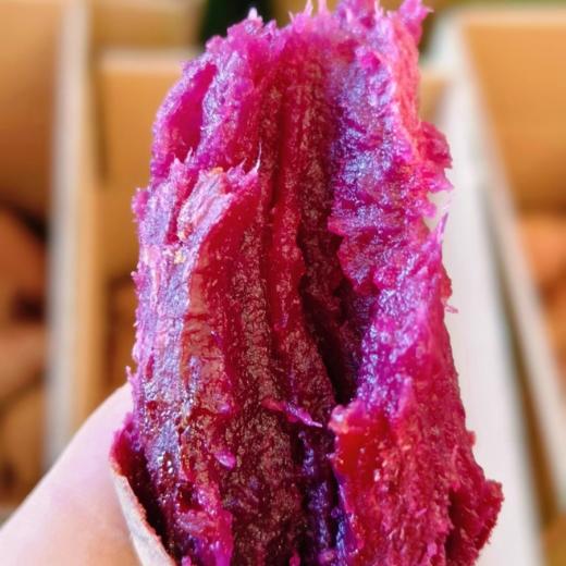 有机番薯，多品种可选，颠覆认知的糯沙香甜，安心美味（大小混装5斤装，顺丰包邮，72小时发货急件慎拍) 商品图9