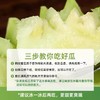 海南网纹瓜 软糯香甜多汁多味 商品缩略图3