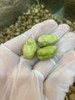竹盐绿心蚕豆 一款小孩子都可以轻松剥的蚕豆，肉质香酥脆 易咬~健康好吃 商品缩略图1