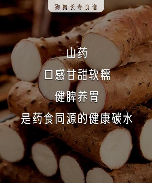 狗主食鲜粮 老鸭炖山药200g一包装/制熟发货常温保存开袋即食 商品图6