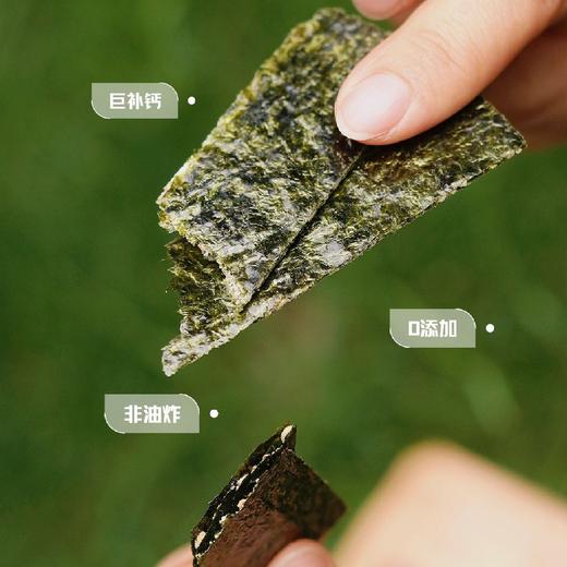 鱼鱼禾尔·芝麻夹心海苔，头水紫菜，鲜香轻脆，清爽即化，纯而不腻，高保鲜技术保留海苔自然原味，60g/罐 商品图5