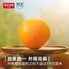农夫山泉17.5°脐橙钻石果3/5kg鲜橙江西核心橙产区25年新鲜采摘上市酸甜可口 商品缩略图4