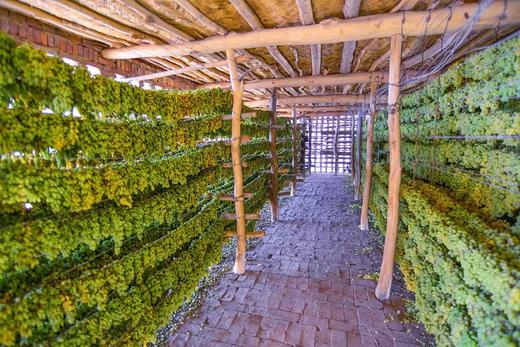 【休闲健康小零食】新疆特产 无核葡萄干 无花果干 即食 泡水煲汤 商品图5