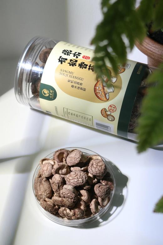 云南有机干香菇2025新菇，云南桑木有机香菇 桑木精华滋养 菇肉厚嫩 朵型完好 炒炖皆美味基地直邮 商品图3