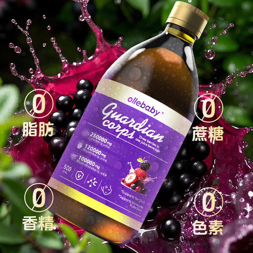 【全球购】澳立佳接骨木莓液饮500ml/瓶 商品图0