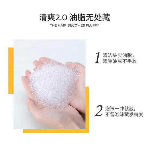 KONO轻盈控油洗发水500ML*2瓶 商品图3