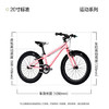 Nabiis那贝斯儿童自行车青少年6-7-10-12岁超轻铝合金学生单车20寸粉 商品缩略图6