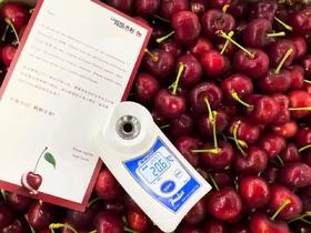  2025/26智利车厘子新品种之一——AG2