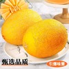 海南黄金蜜瓜 香甜多汁 比西州蜜更脆甜 商品缩略图1