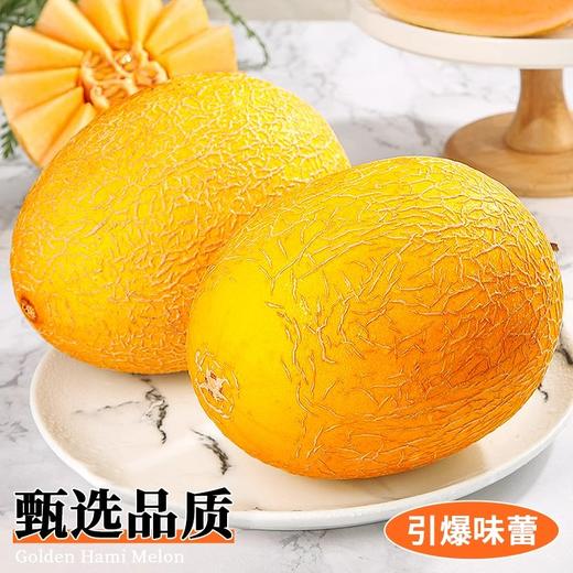 海南黄金蜜瓜 香甜多汁 比西州蜜更脆甜 商品图1