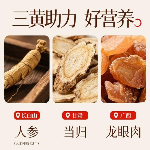 2袋装江中食疗人参当归元气粥250g/袋10包/袋 保质期至2026年7月 商品图5