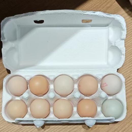 一正有机有机山鸡蛋10枚/盒 商品图1