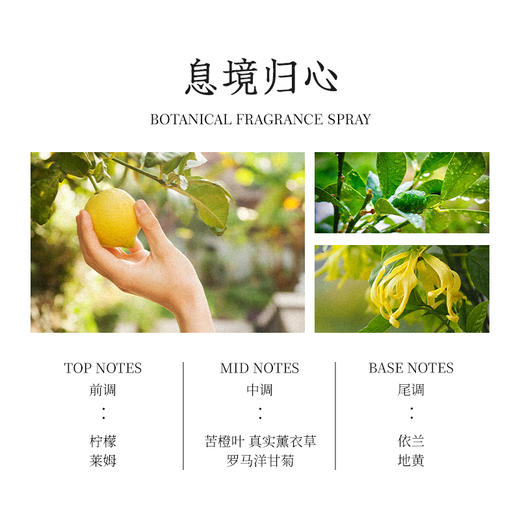 禧闻悦见“謐（暝）”植物精油情绪香薰喷雾 商品图2