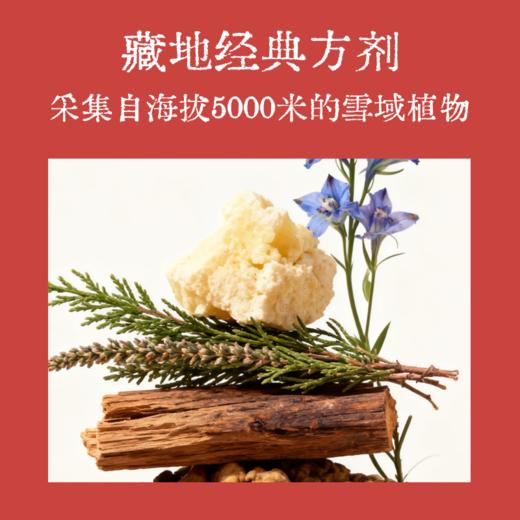 【真不二】新品红花巴夏嘎贴护肝贴藏药膏药贴（20贴/盒） 商品图3