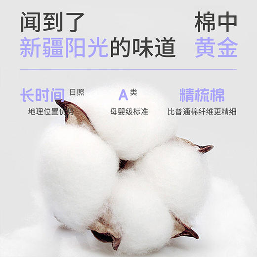 樱姿娜A类无痕高腰女士内裤 0染纯棉10A抗菌档弹力透气 棉小裤-WL89008款 商品图4