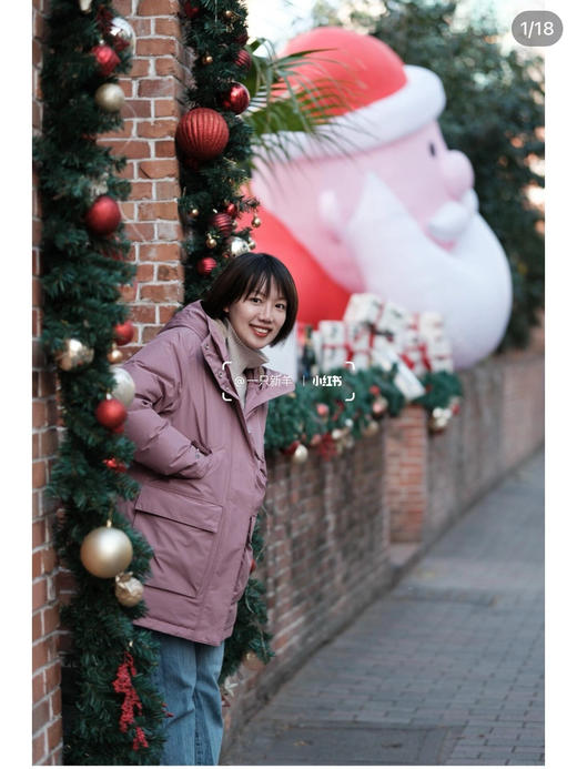 【开放日忙 秒杀价已调 直接拍】小高 黑标系列 戈尔女士户外工装收腰鹅绒服 羽绒服 商品图4