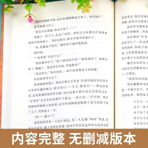 童年 快乐读书吧六年级上指定阅读 《语文》阅读丛书 人民文学出版社 商品图2