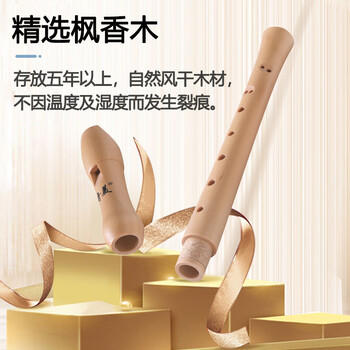 奇美8孔木笛高音英式八孔木质竖笛 课堂乐器 树脂盒包装 带教材 商品图1