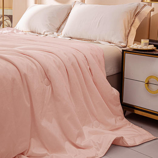 10楼 安睡宝 全棉提花纯蚕丝双人春秋被 吊牌价3299元 活动价799元 商品图1