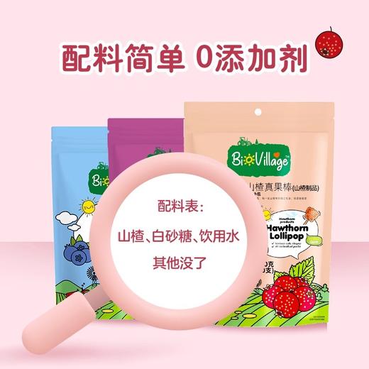 碧欧奇原味山楂真果棒80g 商品图3
