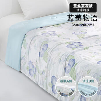 贝肽斯儿童夏凉被婴儿混合蚕丝凉感被宝宝空调被幼儿园盖毯蓝莓2.3X2.0m 商品图1