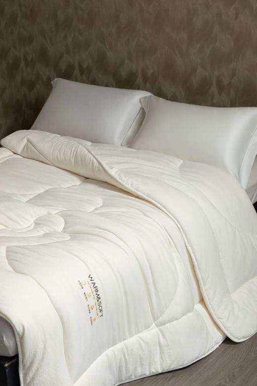 【堂皇】B7F 堂皇绵芙大豆被-白色 商品图2