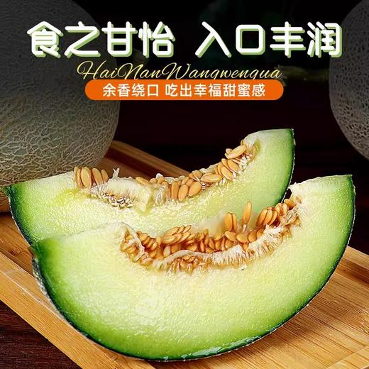 海南网纹瓜 软糯香甜多汁多味 商品图4