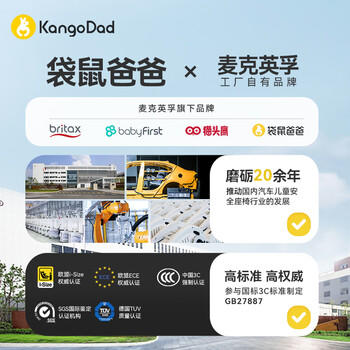 袋鼠爸爸（EURO KIDS）安全座椅婴儿0-12岁360度旋转儿童车载座椅新国标星途pro星空灰 商品图4